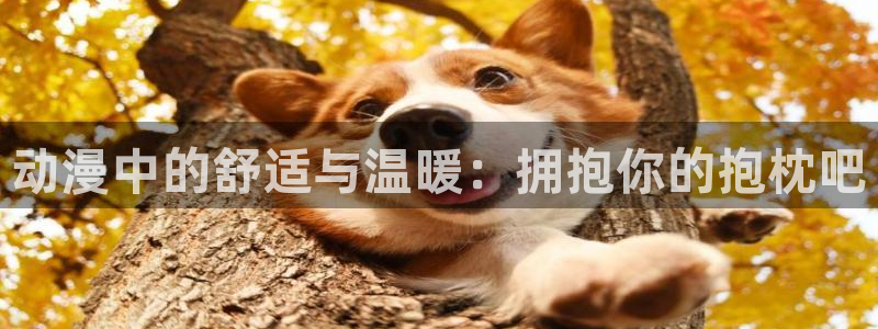 风车动漫免广告版：动漫中的舒适与温暖：拥抱你的抱枕吧
