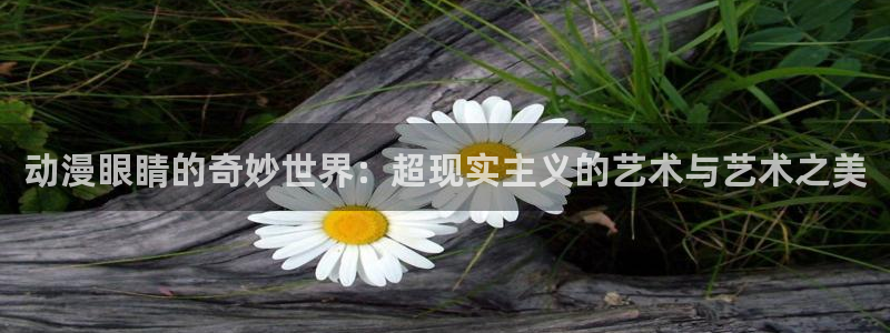 风车动漫hd：动漫眼睛的奇妙世界：超现实主义的艺术与艺术之美