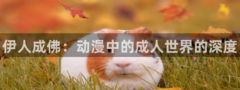 风车动漫 风车动漫：伊人成佛：动漫中的成人世界的深度