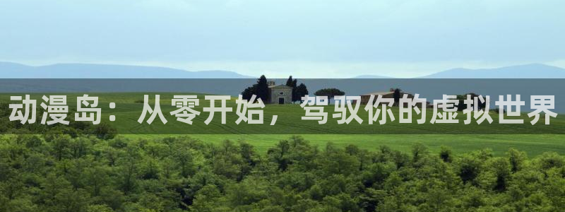 我开动物园那些年风车动漫：动漫岛：从零开始，驾驭你的虚拟世界