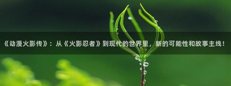 樱花风车动漫网：《动漫火影传》：从《火影忍者》到现代的世界里，新的可能性和故事主线！