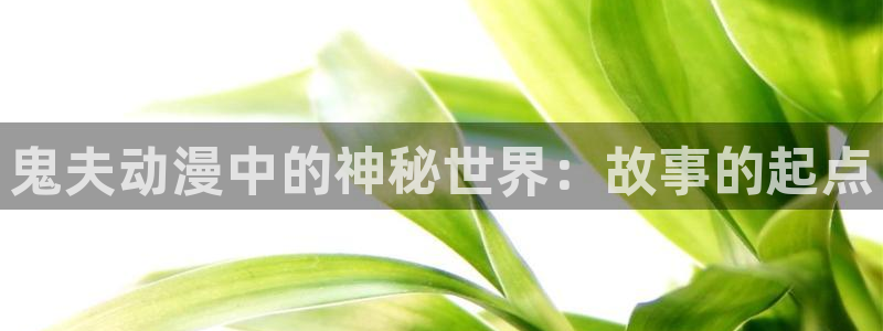 风车动漫dm530官网：鬼夫动漫中的神秘世界：故事的起点