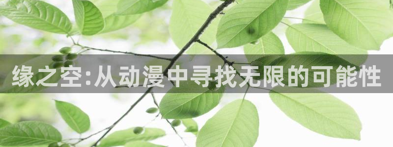甜蜜的惩罚风车动漫：缘之空:从动漫中寻找无限的可能性
