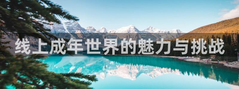 风车动漫在线高清观看：线上成年世界的魅力与挑战