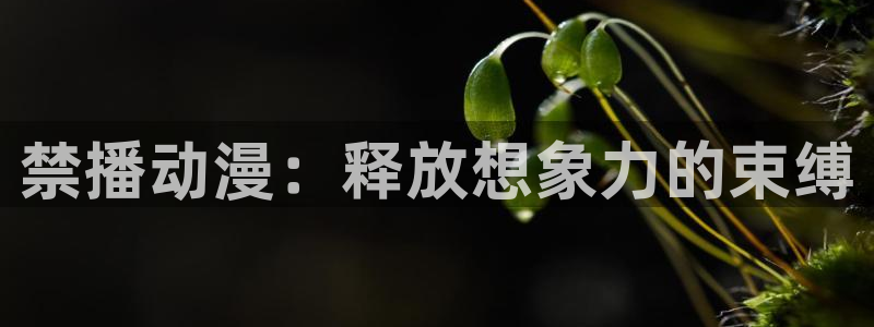 风车动漫(p)_专注动漫的门户官方网站动漫：禁播动漫：释放想象力的束缚
