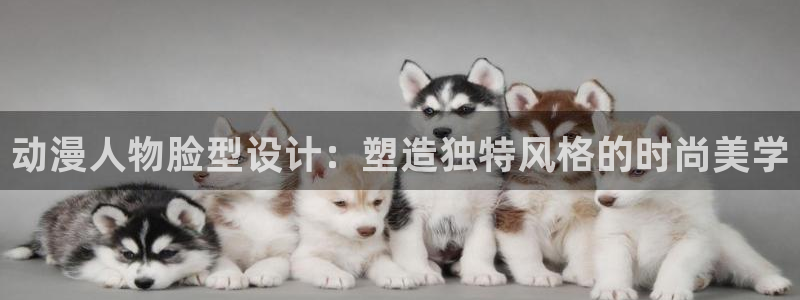 风车动漫电视剧：动漫人物脸型设计：塑造独特风格的时尚美学