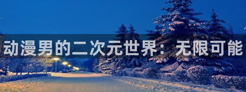 风车动漫平台：动漫男的二次元世界：无限可能