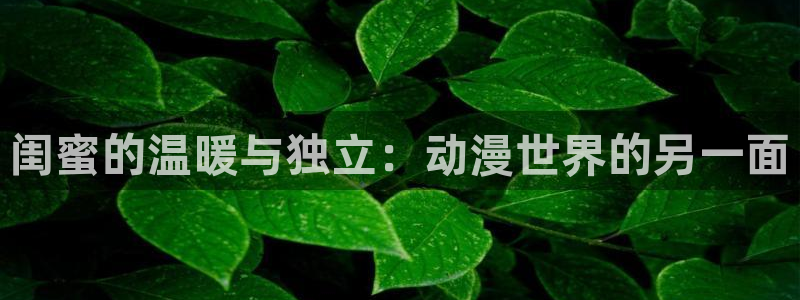 风车动漫7