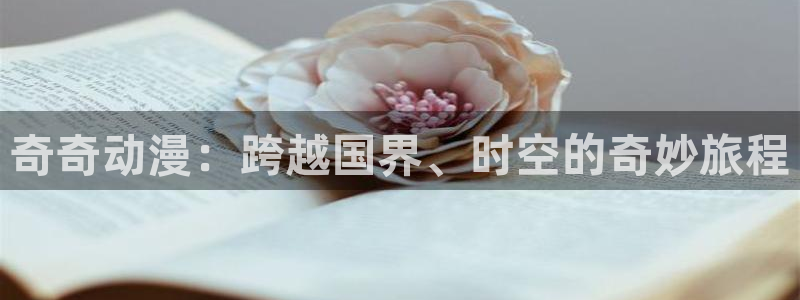 风车动漫入口