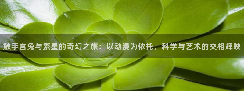 影之实力者动漫风车动漫