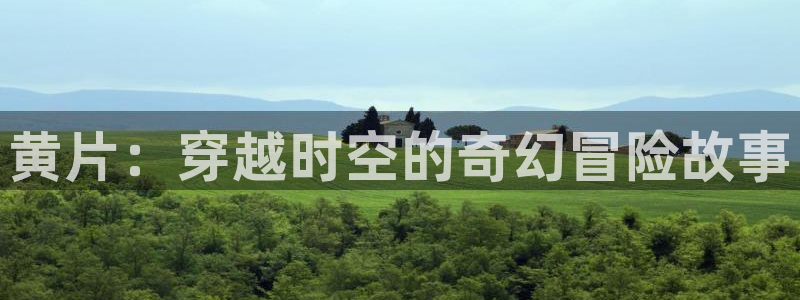 风车动漫官网在线观看入口