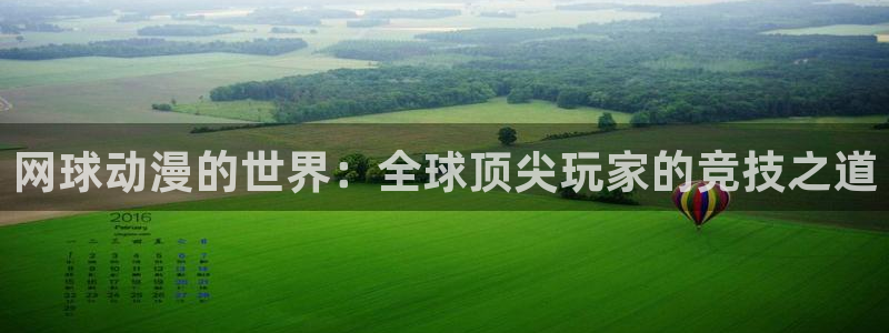 鸣鸟不飞风车动漫