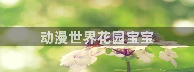 风车动漫在线观看全集免费