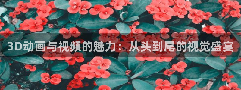 风车动漫网下载最新