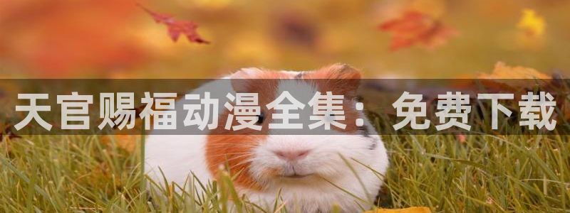 风车动漫专注动漫的网