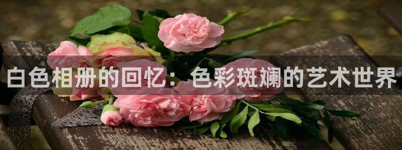 风车动漫漫画免费看