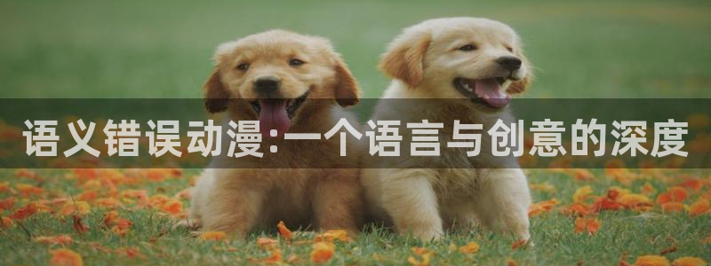 风车动漫旧版本：语义错误动漫:一个语言与创意的深度