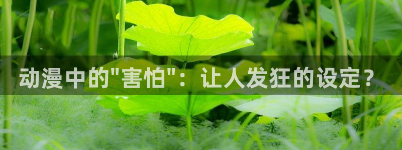 樱花动风车动漫