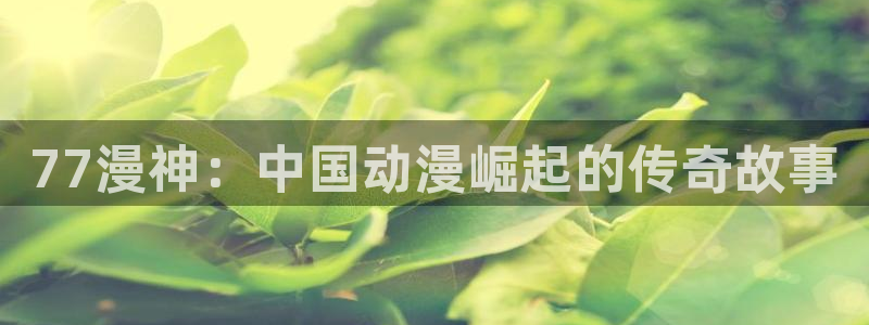 游戏人生风车动漫