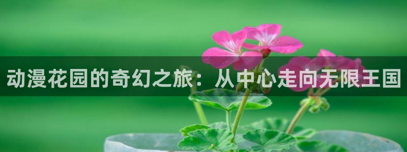 风车动漫网站大全