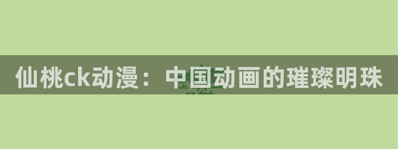 我推的孩子风车动漫