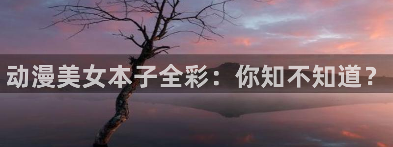 风车动漫.