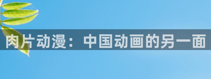 风车动漫在线观看免费完整观看