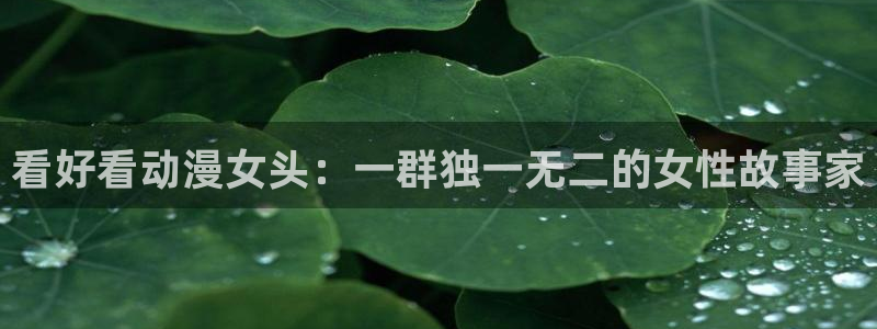 风车动漫官方