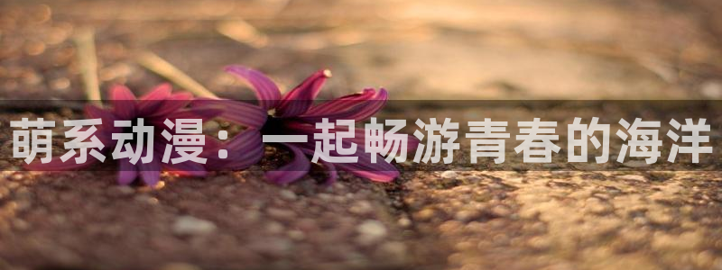 风车动漫看