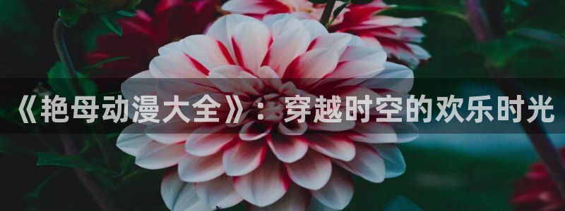 风车动漫免费观看