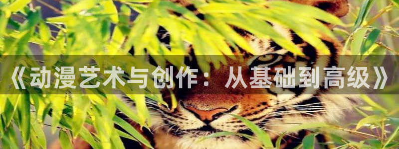 风车动漫网在线观看动漫