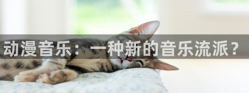 风车动漫网站手机版下载