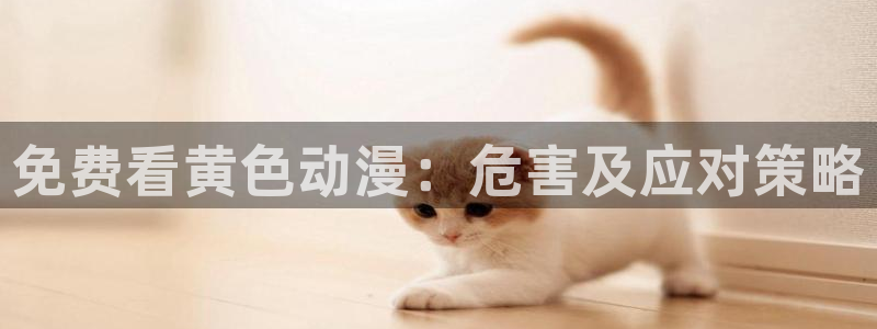 新风车动漫最新版