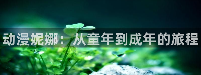 风车动漫之