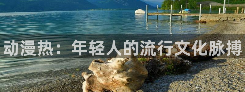 大风车动漫网：动漫热：年轻人的流行文化脉搏