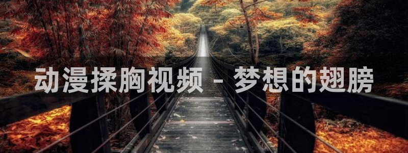 风车动漫无修