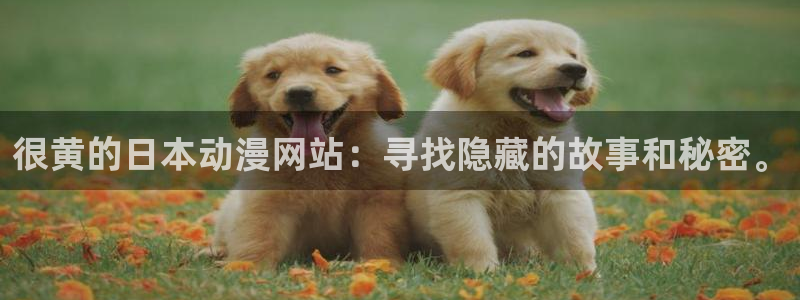 风车动漫畅享免费