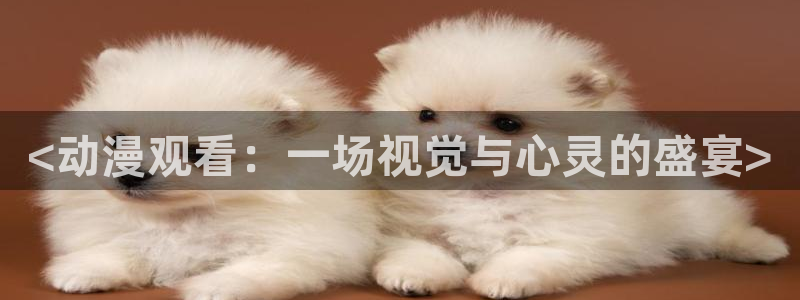 风车动漫在线免费观看：<动漫观看：一场视觉与心灵的盛宴>