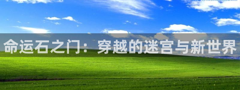 风车动漫应用下载：命运石之门：穿越的迷宫与新世界
