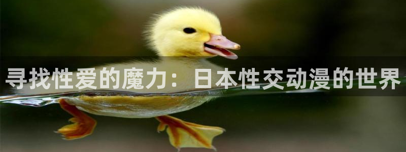 无颜之月樱花风车动漫
