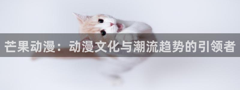 博人传风车动漫