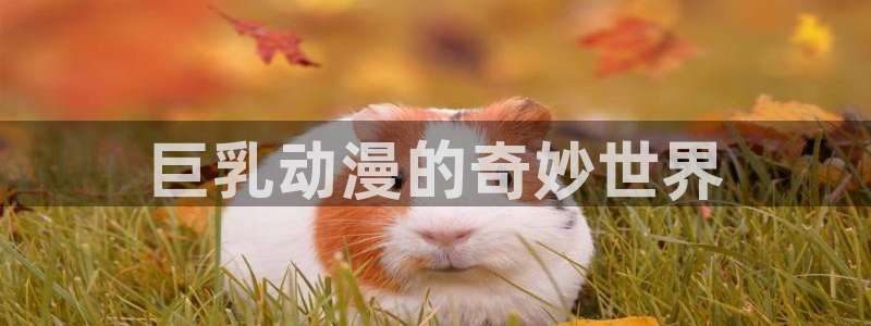 风车动漫在线观看动漫的官方网