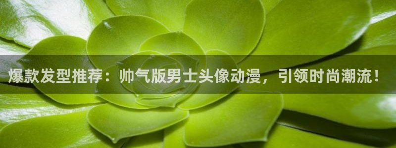 风车动漫_在线观看