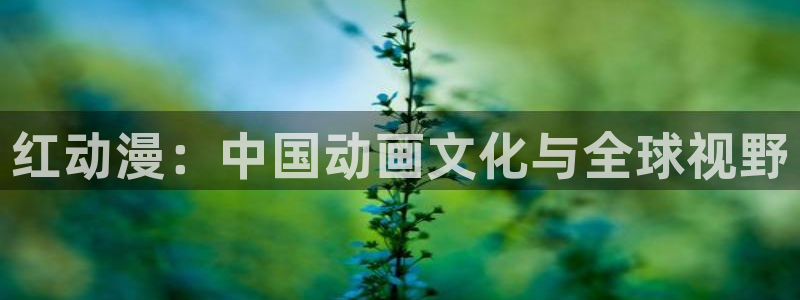 风车动漫(p)高清