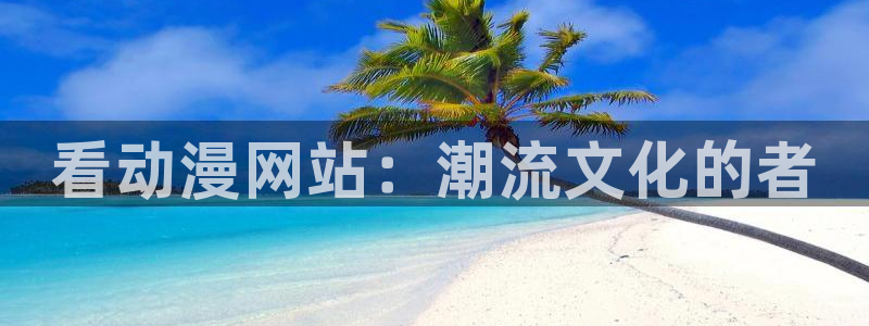 风车动漫理论