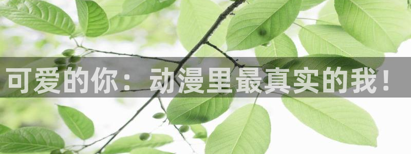 风车动漫app官网