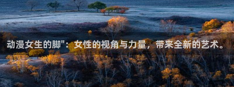 风车动漫o