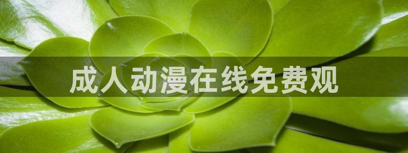 寄生兽风车动漫