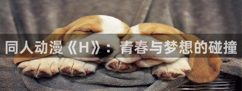 风车动漫网站下载