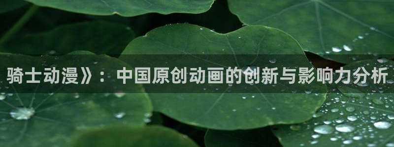 风车动漫免费在线观看